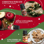 SALKING Christmas Diffuser Oils Set