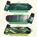 SALKING Nature Diffuser Oils Set