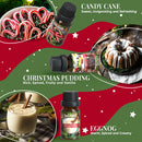 SALKING Christmas Diffuser Oils Set