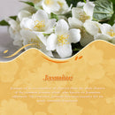 Yossibloom Jasmine Ethereal Oil 0.34 FL.OZ(30ML),Natural Essential Oil for home use, Aromatherapy Essential Oils for Diffuser, Candle Making, Room Spray Diffuser Oils, Scented Oil Gift for Women