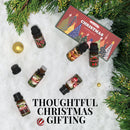 SALKING Christmas Diffuser Oils Set