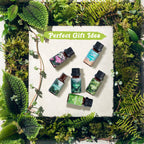 SALKING Nature Diffuser Oils Set