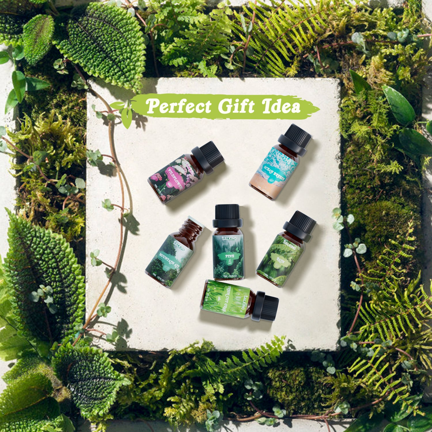SALKING Nature Diffuser Oils Set