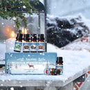 SALKING Winter Diffuser Oils Set