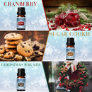 SALKING Winter Diffuser Oils Set