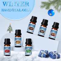 SALKING Winter Diffuser Oils Set