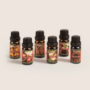 SALKING Christmas Diffuser Oils Set