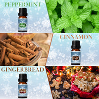 SALKING Winter Diffuser Oils Set