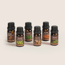 SALKING Woody Diffuser Oils Set