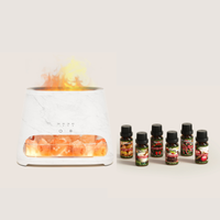 SALKING Christmas Diffuser Oils Set