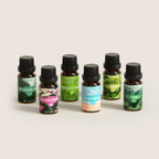 SALKING Nature Diffuser Oils Set