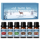 SALKING Winter Diffuser Oils Set