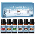 SALKING Winter Diffuser Oils Set