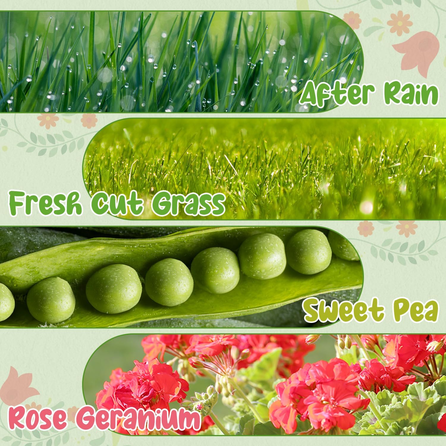 SALKING Wax Melts（Spring）