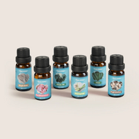 SALKING Clean Diffuser Oils Set