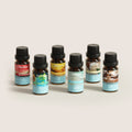 SALKING Summer Diffuser Oils Set