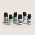 SALKING Winter Diffuser Oils Set