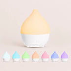 Coconut Diffuser - SALKING_Aroma Diffuser_SALKING