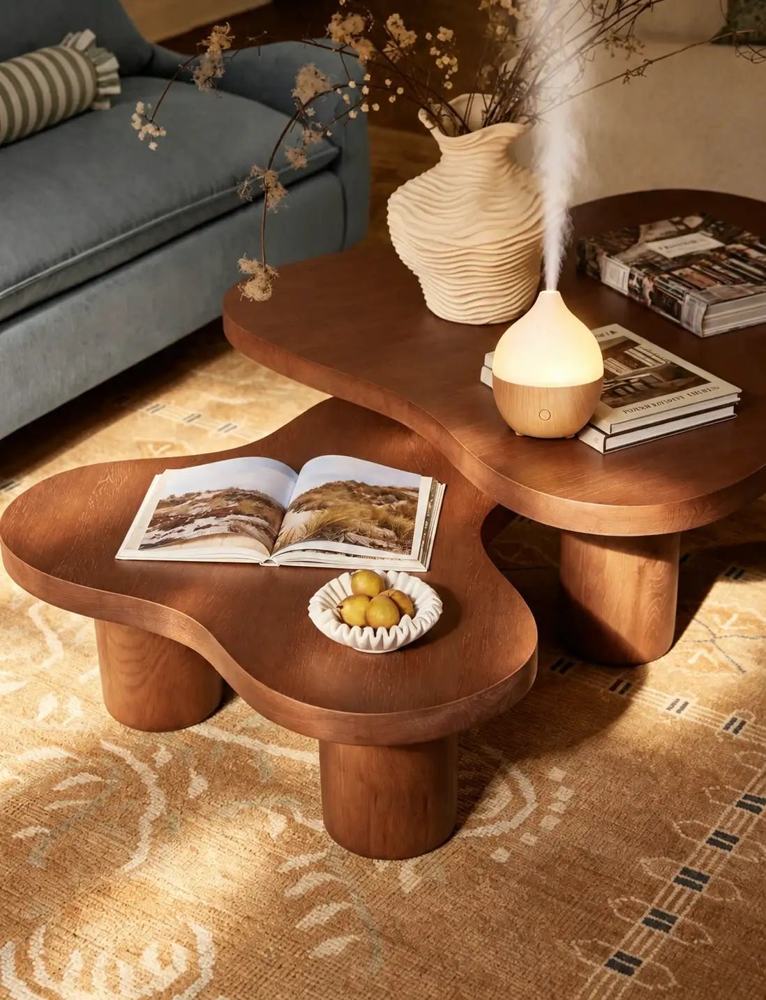 Coconut Diffuser - SALKING_Aroma Diffuser_SALKING