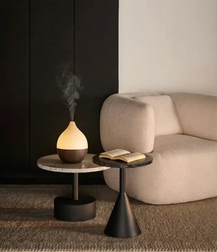 Coconut Diffuser - SALKING_Aroma Diffuser_SALKING
