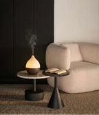 Coconut Diffuser - SALKING_Aroma Diffuser_SALKING