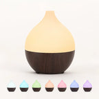 Coconut Diffuser - SALKING_Aroma Diffuser_SALKING