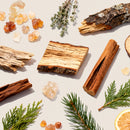 SALKING Woody Diffuser Oils Set