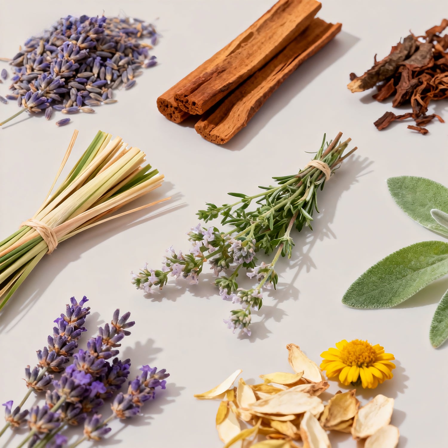 Flat lay of raw sleep-inducing ingredients including lavender, cinnamon, and herbal roots representing the oil scents.